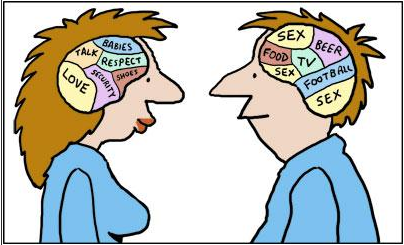 Cartoon of a male and female human brains.