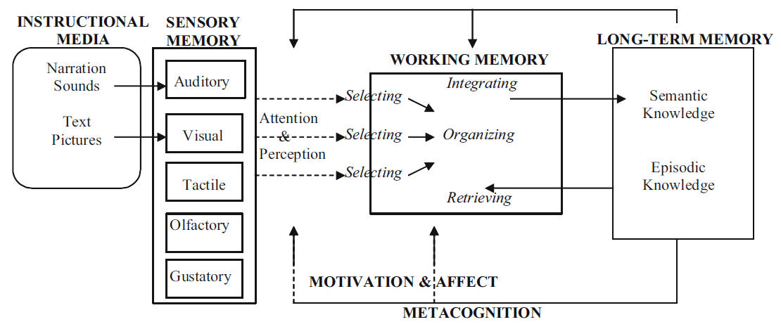 A cognitive-affective model of learning with media (Mayer & Moreno, 2007)