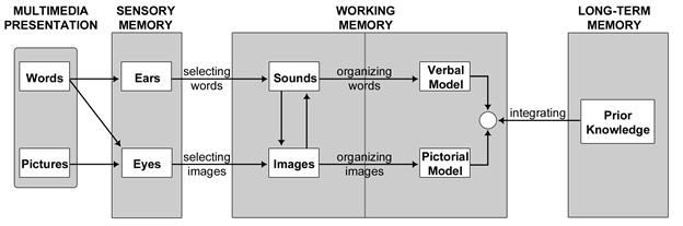 The cognitive theory of multimedia learning (Mayer & Moreno, 2003)