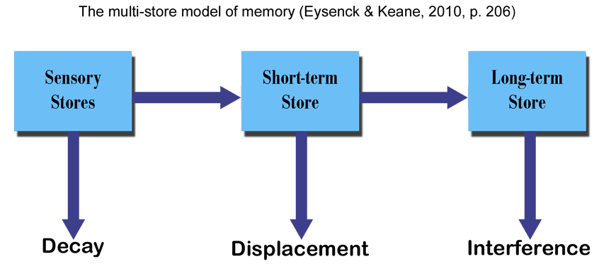 The multi-store memory model (Eysenck & Keane, 2010, p. 206.)