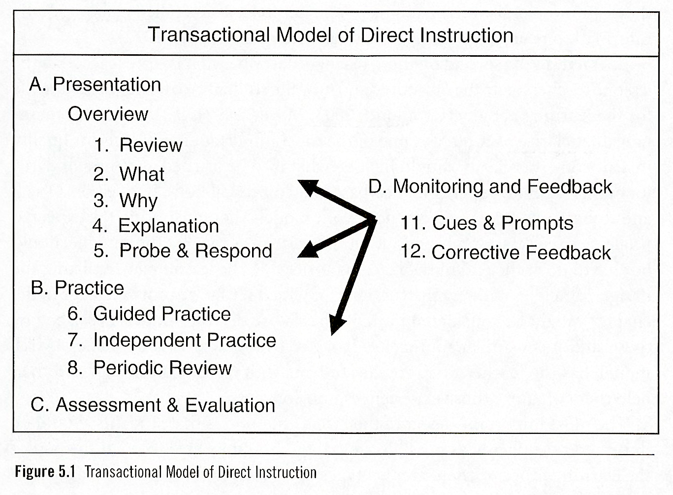 Transactional model of direct instruction.